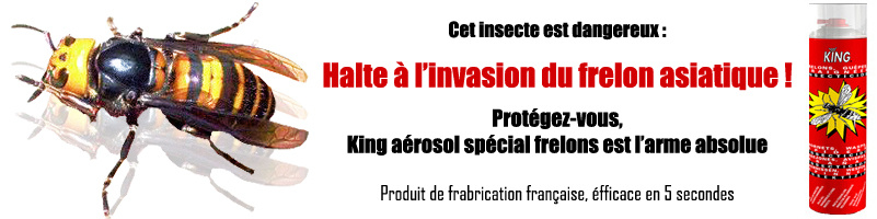 frelon_801