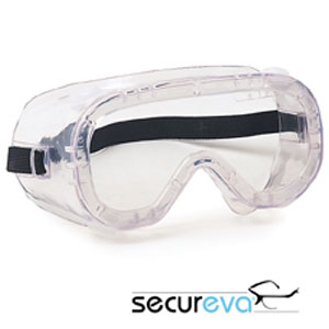 Voir la fiche produit Lunettes-masque de protection EVARIO