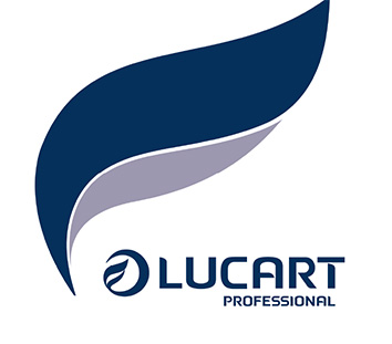 Voir la fiche produit Essuie mains enchevtre ouate recycle lisse colis de 3800 Formats - LUCART